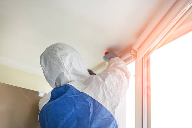 Mold Remediation for Rental Properties in Carmel Valley Village, CA